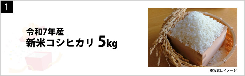 令和7年産新米コシヒカリ5kg
