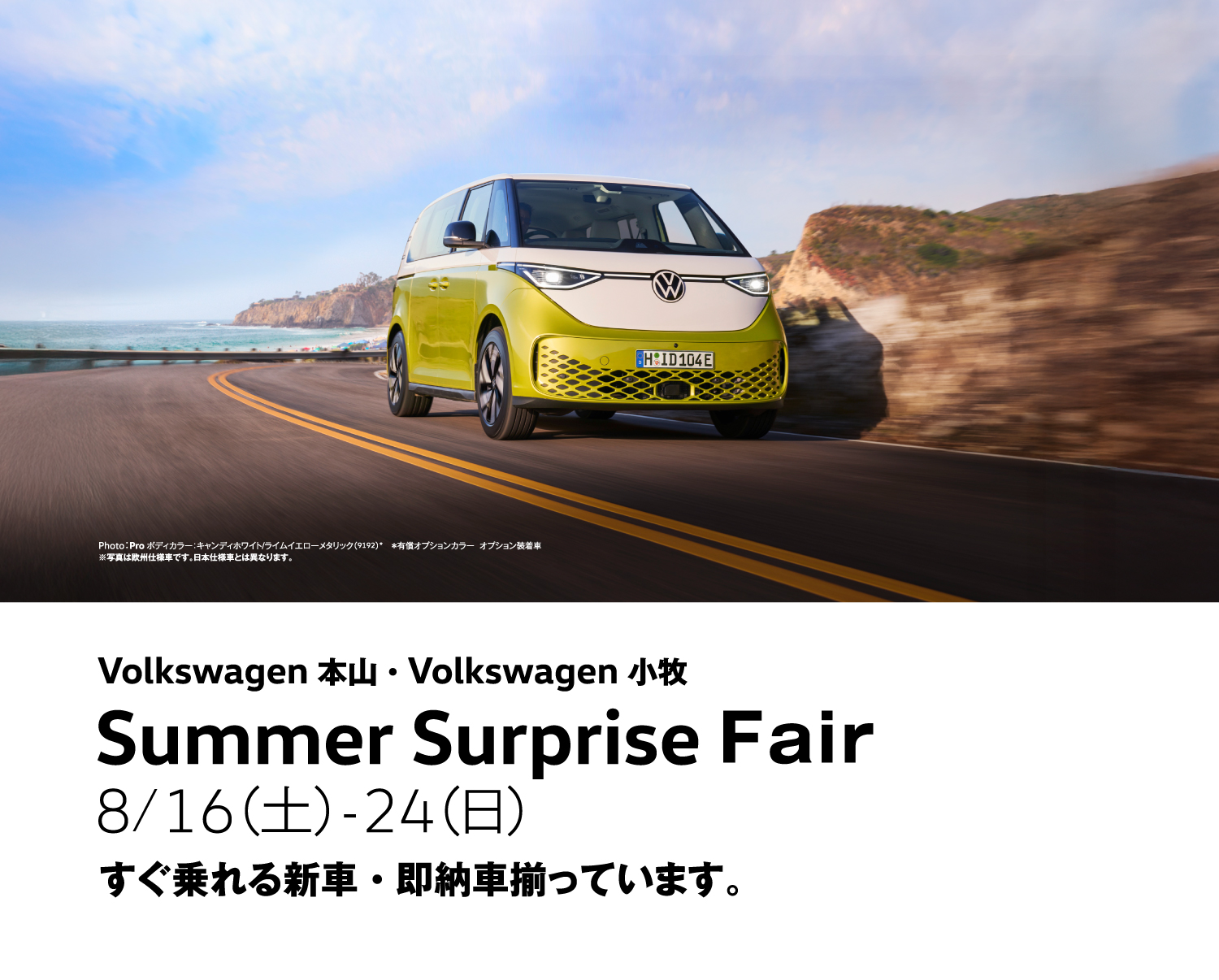 Summer Surprise Fair